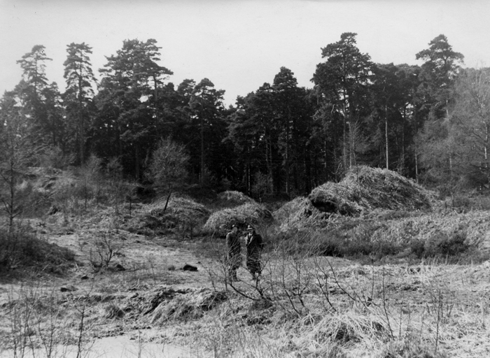 Photograph shows the relatively unkempt terrain of the Chipperfield Ranges, prior to its development.