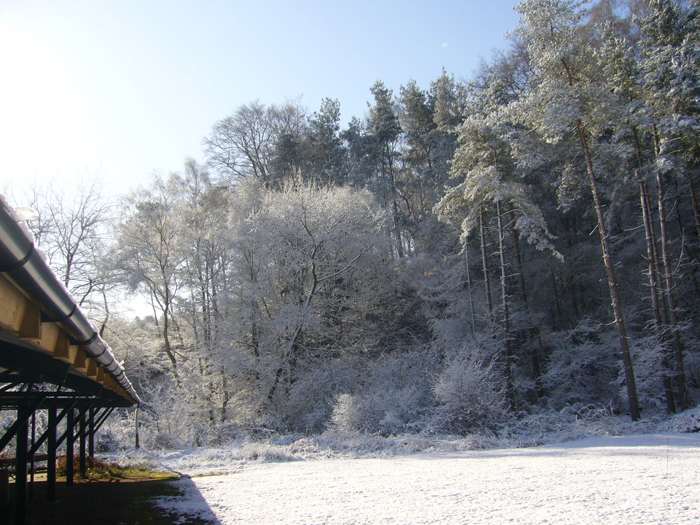 Snow-covered trees on the Chipperfield Ranges.