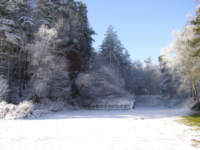 Snow-covered trees on the Chipperfield Ranges.