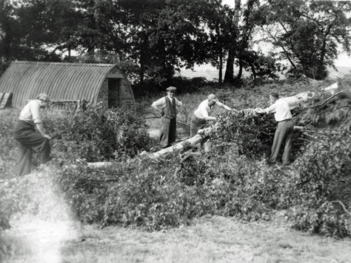 Photograph shows a group of very willing committee members and shooters clearing trees.